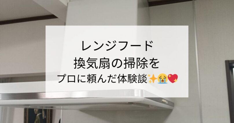 レンジフード換気扇の掃除をプロに頼んだ体験談✨😭💖