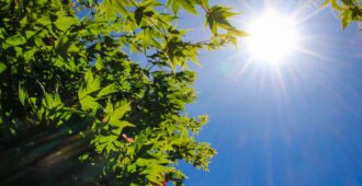 夏支度なにをすべき？本格的な夏を迎える前に快適に過ごすための準備🌻🌞